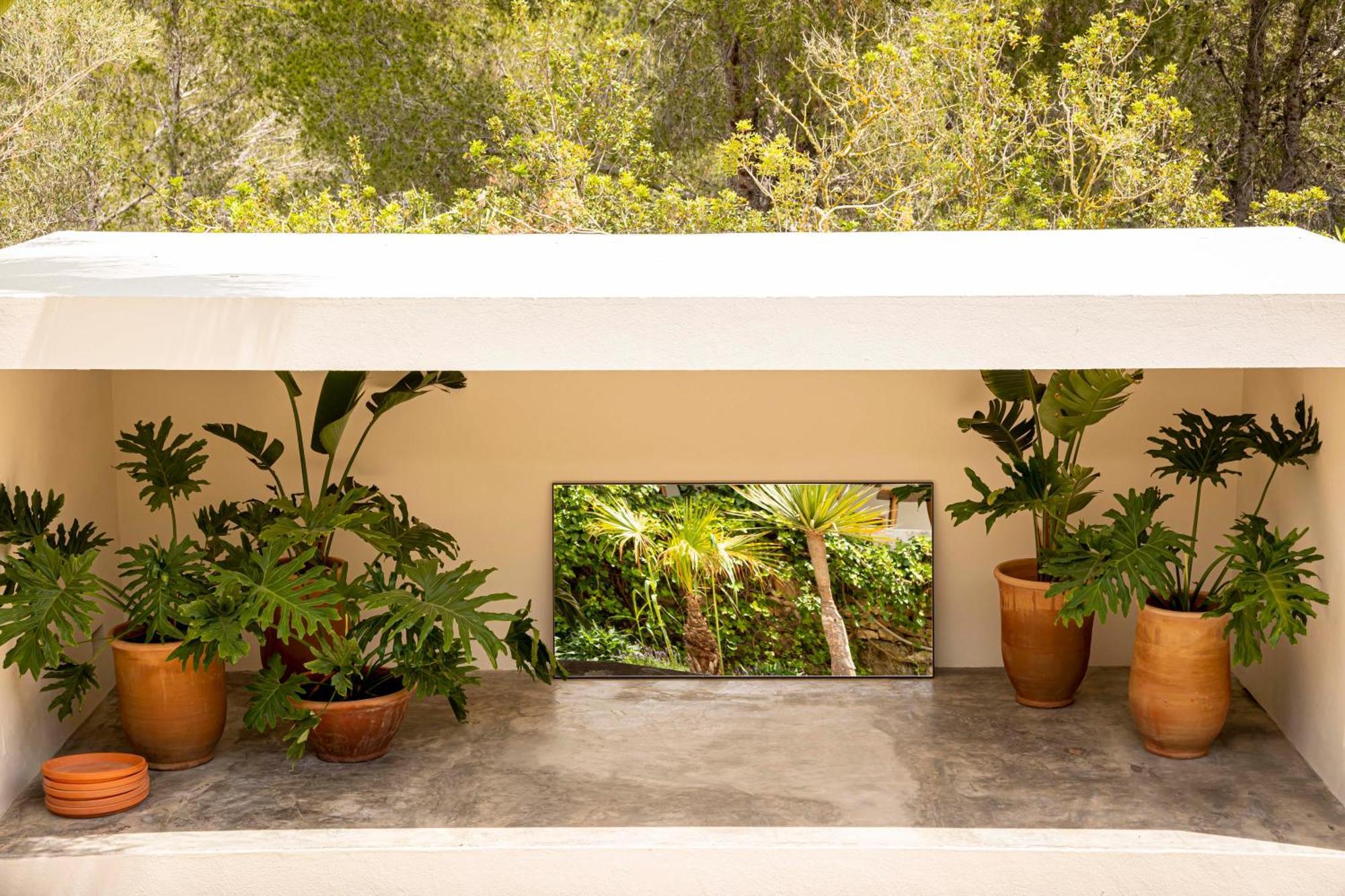 Boutique Hotel Jardines De Palerm San José エクステリア 写真