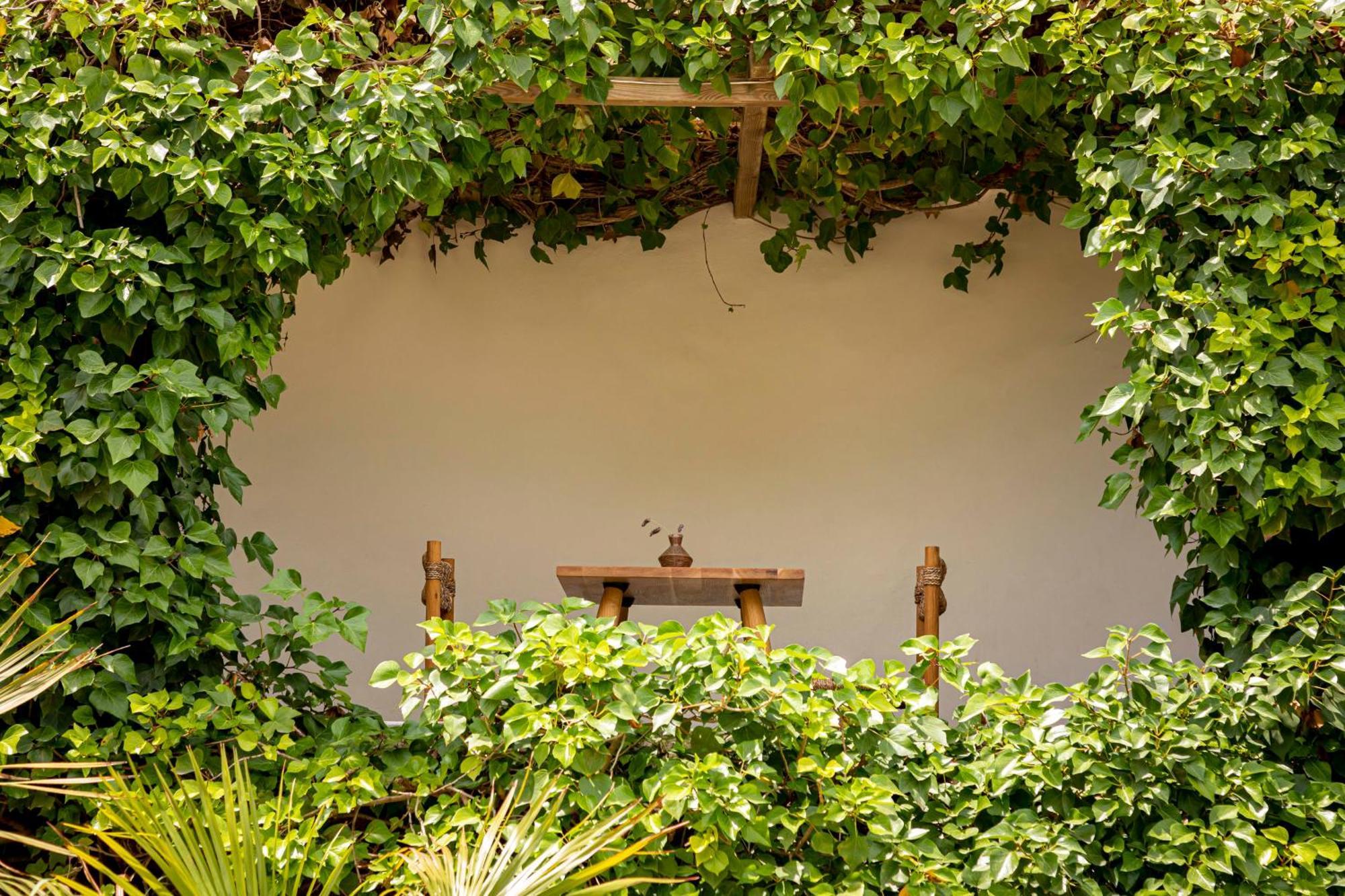Boutique Hotel Jardines De Palerm San José エクステリア 写真