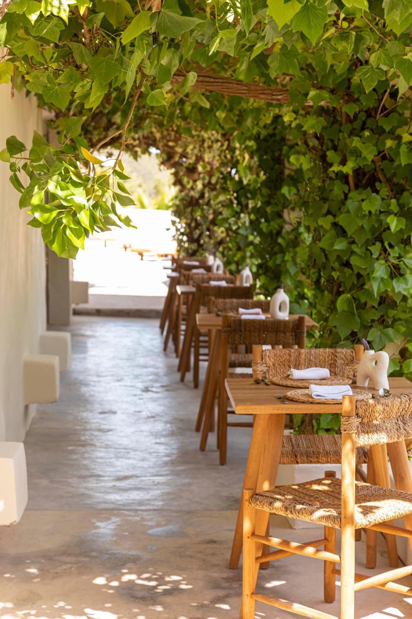 Boutique Hotel Jardines De Palerm San José エクステリア 写真