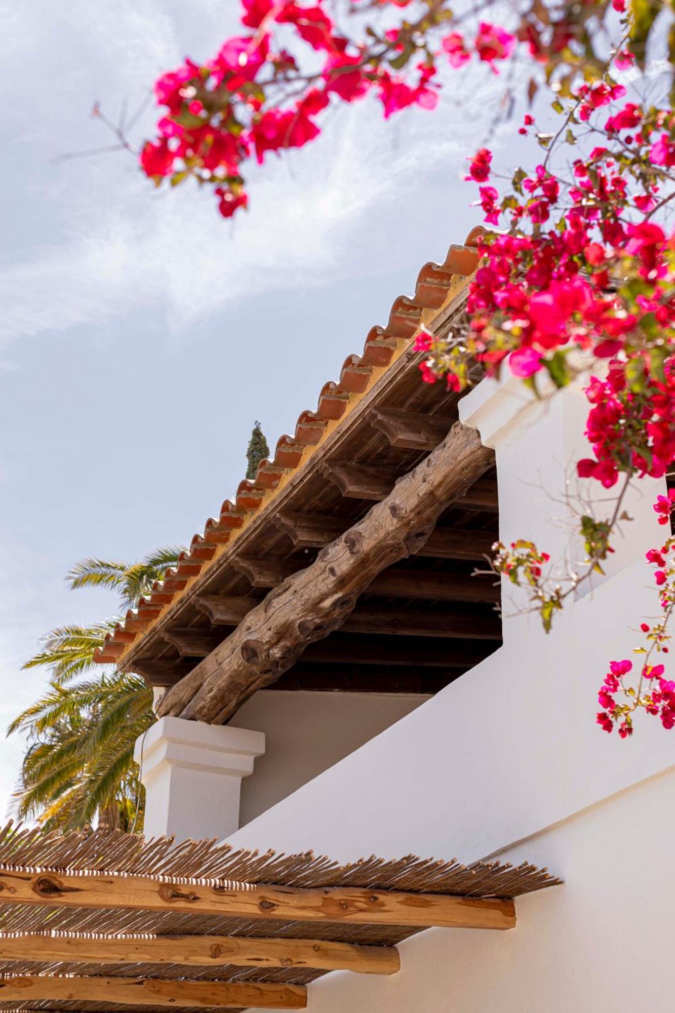 Boutique Hotel Jardines De Palerm San José エクステリア 写真